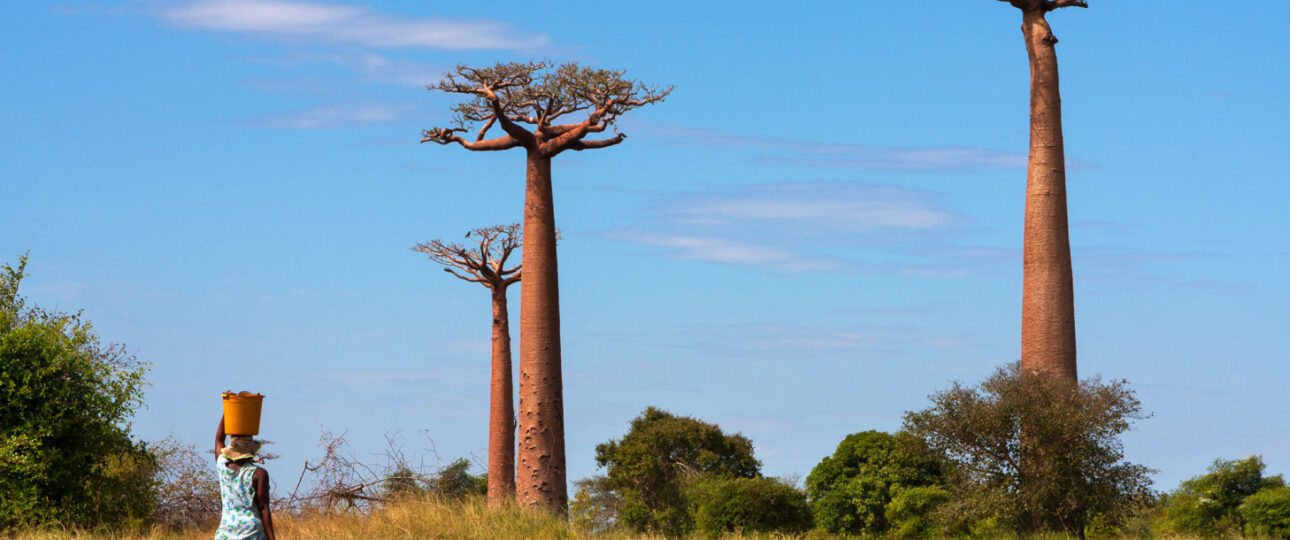 Madagaskar - Esencia veľkého ostrova