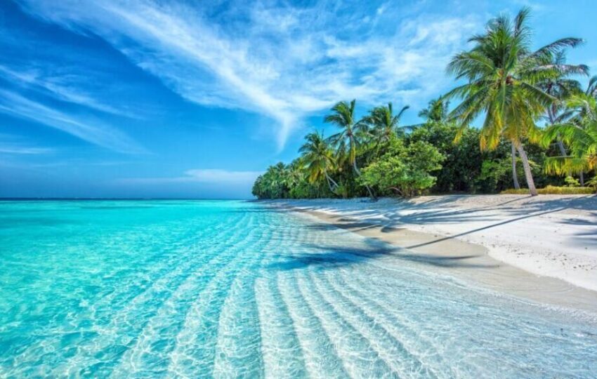 Maldivy