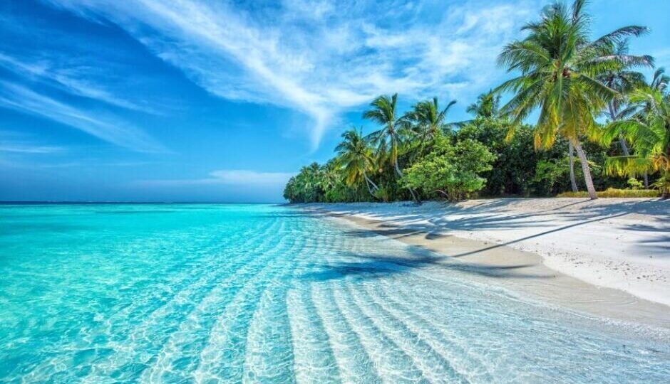 Maldivy